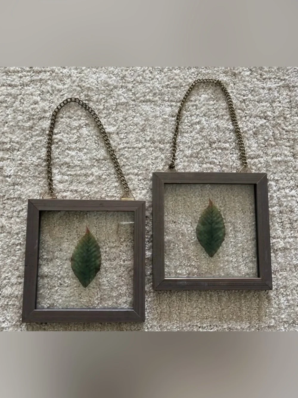 2 BOTANICAL LEAVES IN GLASS FRAMED WALL DECOR